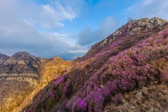 蜜芽成品人免费视频